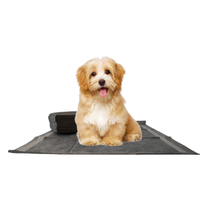 Aktívne podložky pre psie na jedno použitie uhlíka