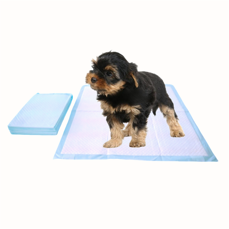 Horké jablkové extrakty na jedno použitie vankúšikov